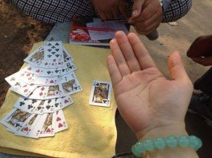 Poonatree anth image